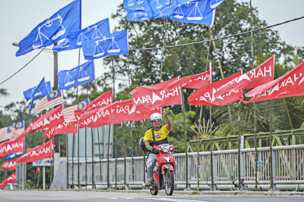 Pakatan Harapan and Barisan Nasional flags line a road in Sungai Rembah, Pontian November 4, 2019. u00e2u20acu201d Picture by Shafwan Zaidon