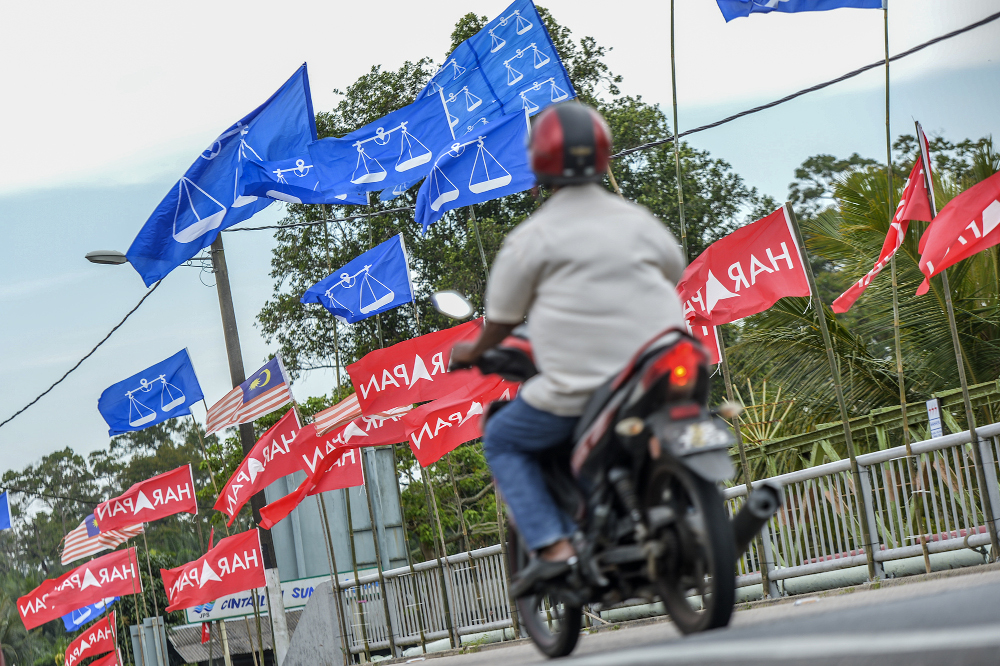 Pakatan Harapan and Barisan Nasional flags line a road in Sungai Rembah, Pontian November 4, 2019. u00e2u20acu201d Picture by Shafwan Zaidon
