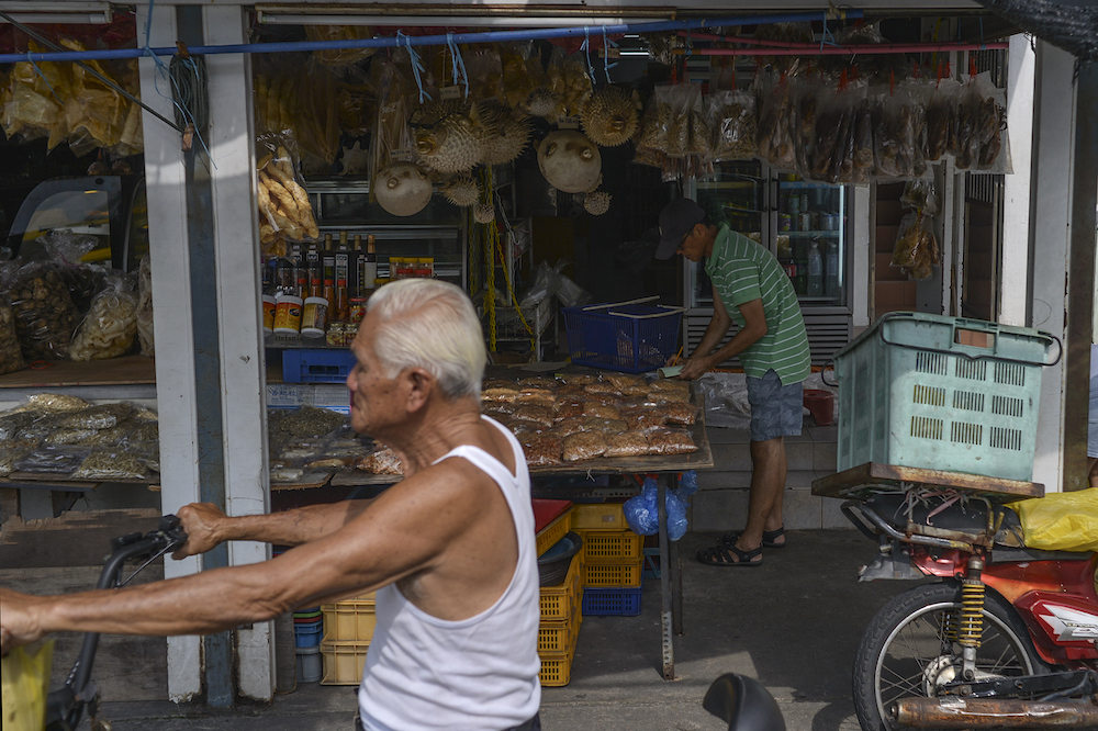 Some Chinese residents in Tanjung Piai are concerned that Pakatan's candidate Karmaine Sardini's background would make it difficult for him to understand or care about the community’s problems. — Picture by Shafwan Zaidon