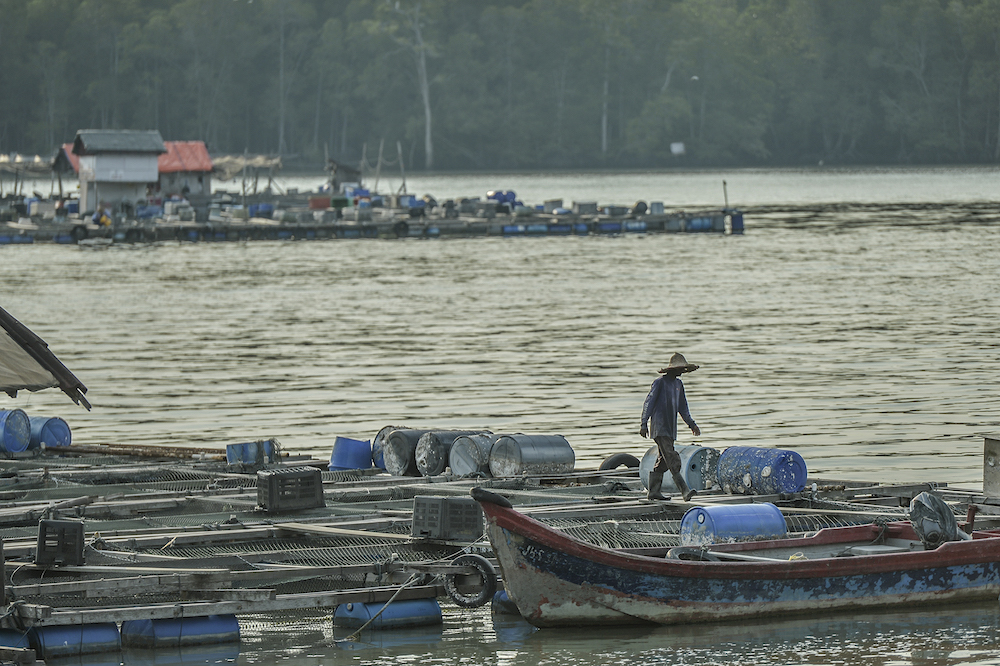 A worker cleans a fish cage near Kampung Kukup Laut in Kukup, Pontian November 3, 2019. u00e2u20acu201d Picture by Shafwan Zaidon