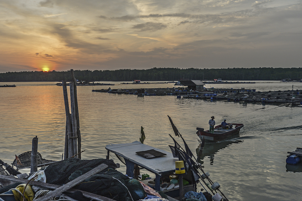 The sun sets over Kampung Kukup Laut in Kukup, Pontian November 3, 2019. u00e2u20acu201d Picture by Shafwan Zaidon