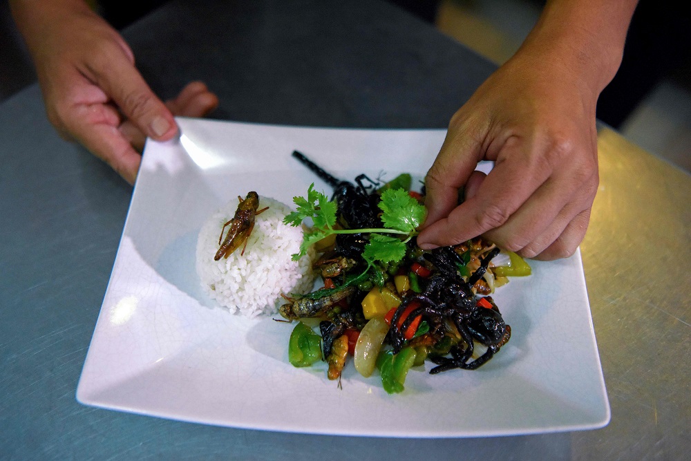 This photo taken on October 24, 2019 shows Chef Seiha Soeun preparing a dish with fried grasshoppers, tarantula, scorpion and vegetables in the kitchen at the Bugs Cafe restaurant in Siem Reap province. — AFP pic   