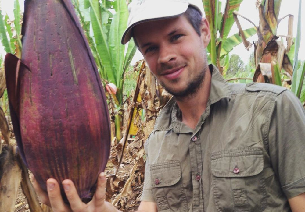 James Borrell, a scientist at Londonu00e2u20acu2122s Royal Botanic Gardens, Kew, holds a fruit from an enset plant, described as u00e2u20acu02dca banana on steroidsu00e2u20acu2122. Photo taken 2018 in Gurage, Ethiopa. u00e2u20acu201d Picture from Royal Botanic Gardens, Kew via Reuters 