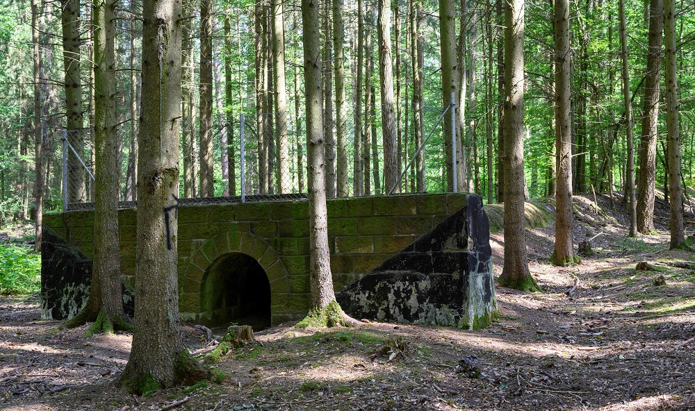 A picture taken on August 21, 2019 in a forest near Wuerzburg shows a drainage duct, a remnant of Route 46, an abandoned motorway from the Nazi era, is seen. u00e2u20acu201d AFP pic 