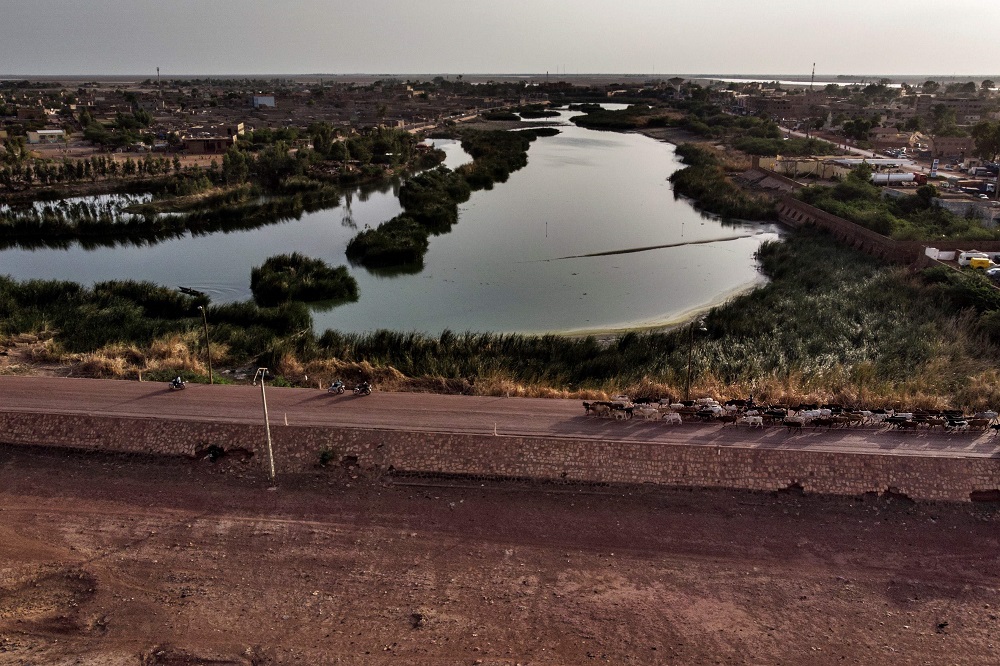 This aerial view taken on July 6, 2019 shows a herd of cattle transiting on an unpaved road dividing a marsh area and a dry area in Mopti, in central Mali's Dogon region. ― AFP pic