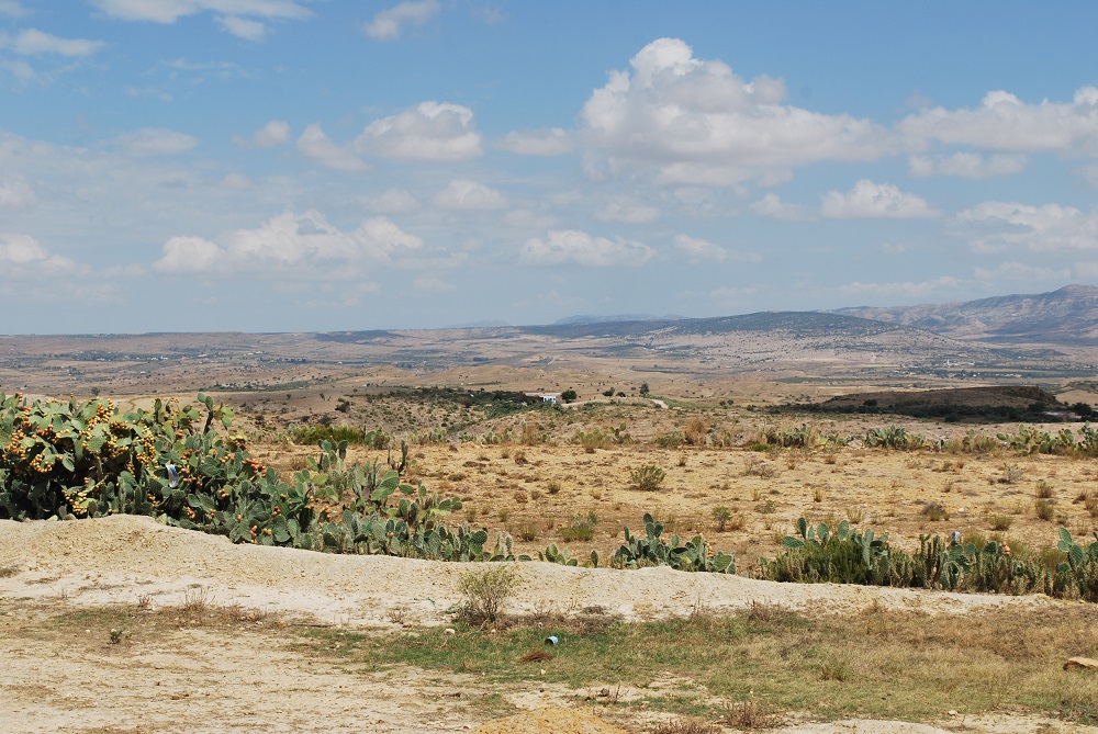 Kairouan, Tunisia, is an intensive farming region where thirsty crops like watermelon are grown and groundwater resources are exploited at 130 per cent, September 2, 2019. u00e2u20acu201dThomson Reuters Foundation pic