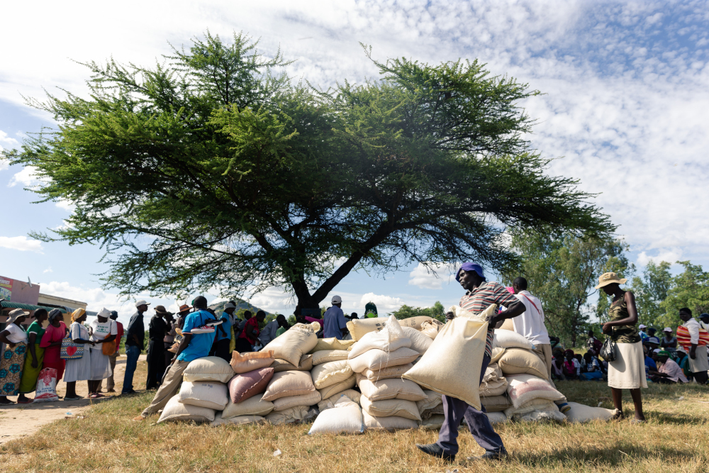 In this file photo taken March 13, 2019 a man carries a full bag of donated maize grain in the Mutoko rural area of Zimbabwe. u00e2u20acu201d AFP pic