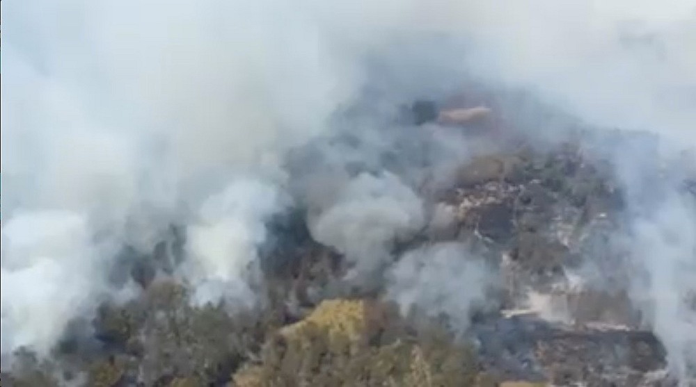 Bushfire in Bobin, New South Wales, Australia November 13, 2019. u00e2u20acu201d Still image courtesy of NSW Rural Fire Service/Social Media via Reuters