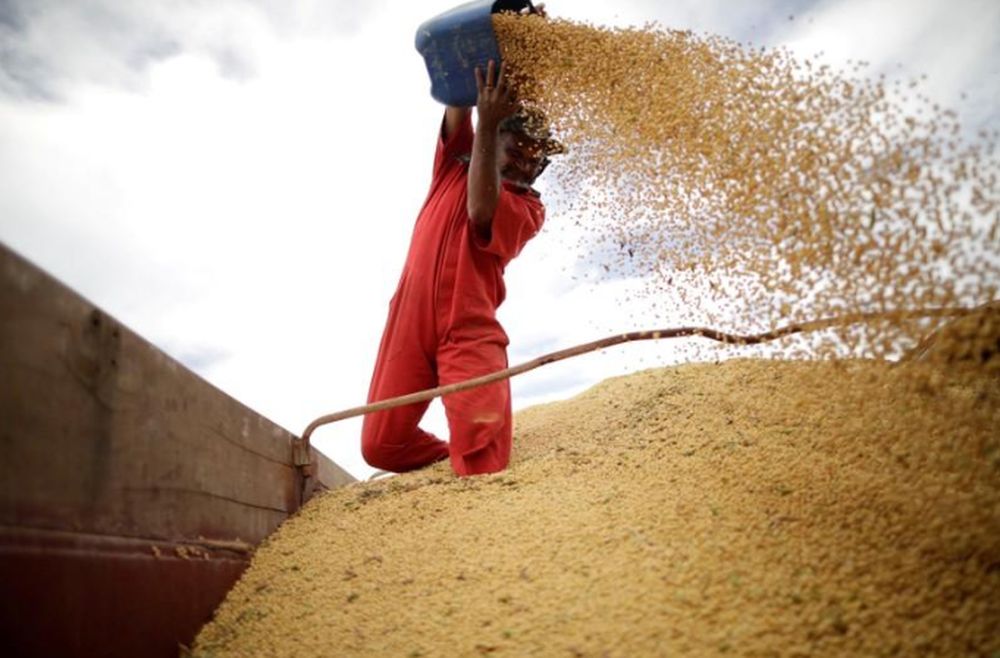 A worker inspects soybeans during the soy harvest near the town of Campos Lindos, Brazil February 18, 2018. u00e2u20acu201d Reuters pic