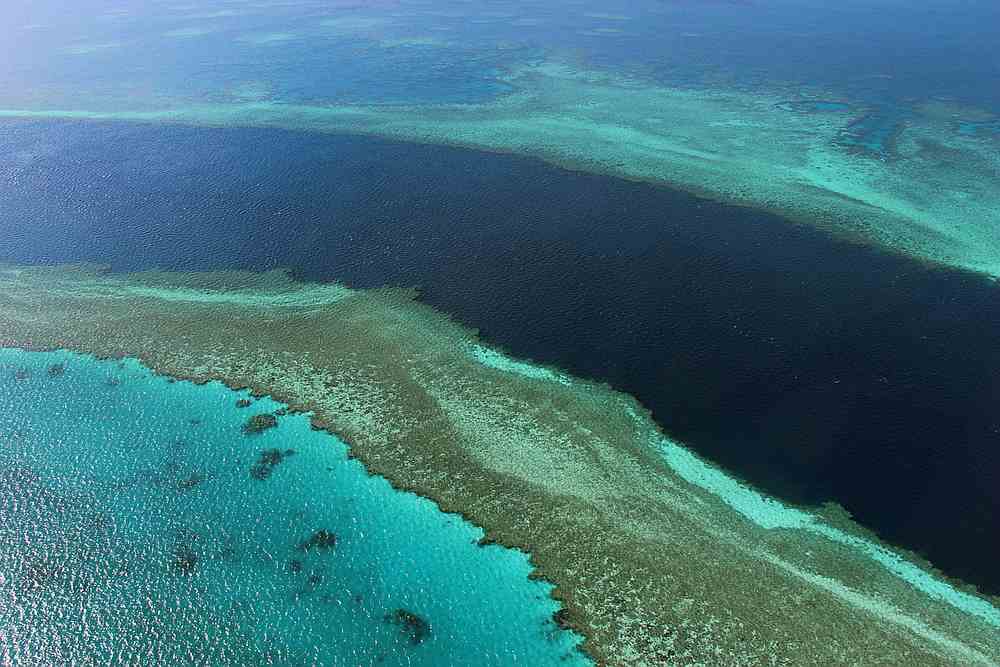 Aerial view of the Great Barrier Reef off the coast of the Whitsunday Islands, along the central coast of Queensland. u00e2u20acu201d AFP pic