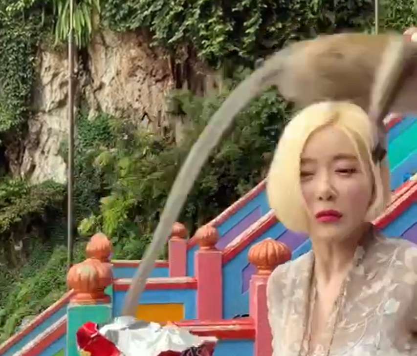 A naughty monkey plays around with South Korean DJ Soda at Batu Caves. u00e2u20acu201c Picture via Instagram/deejaysoda