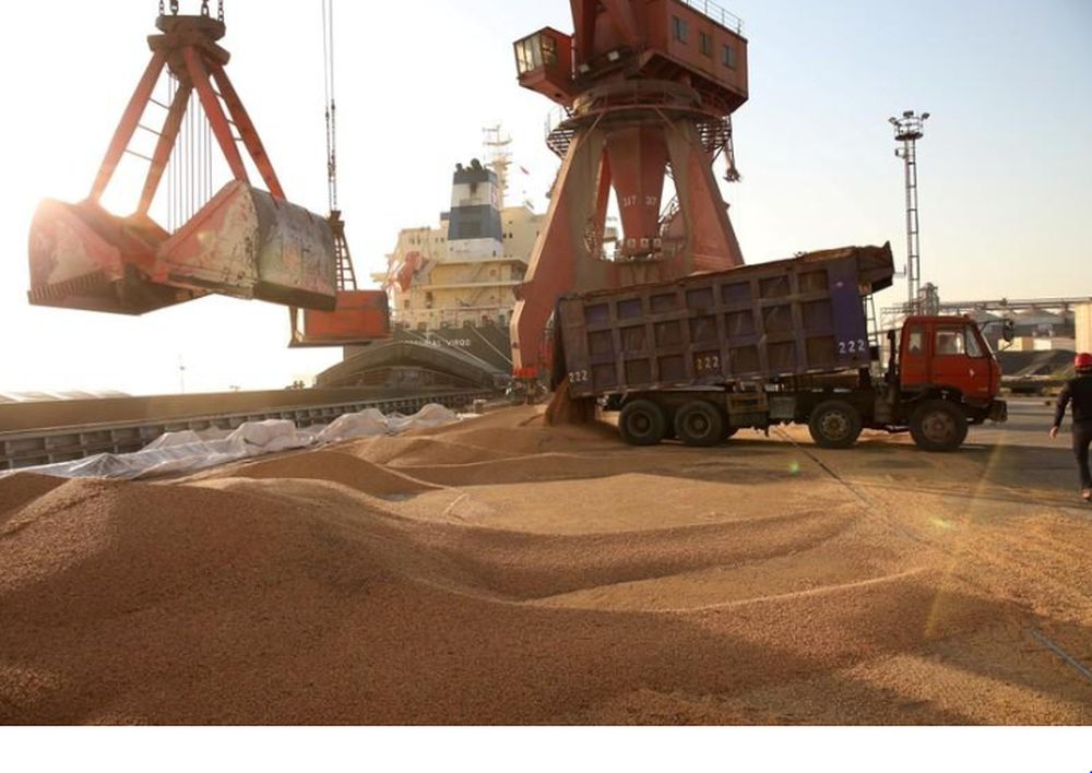 Workers transport imported soybeans at a port in Nantong, Jiangsu province, China April 9, 2018. u00e2u20acu201d Reuters pic