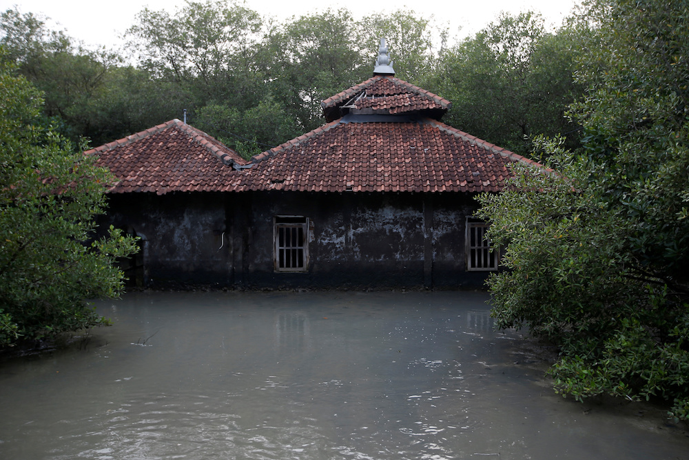A mosque affected by land subsidence and rising sea level is pictured at Bedono village in Demak regency near Semarang, Central Java province November 28, 2019. — Reuters pic 