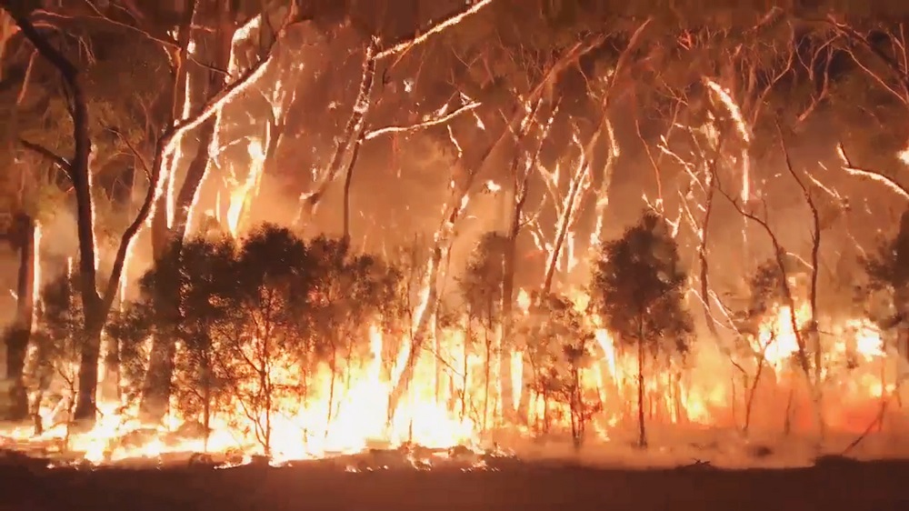 A fire blazes across bush in Newnes Plateau, New South Walles, Australia, December 7, 2019. u00e2u20acu201d Picture by Gena Day via Reuters
