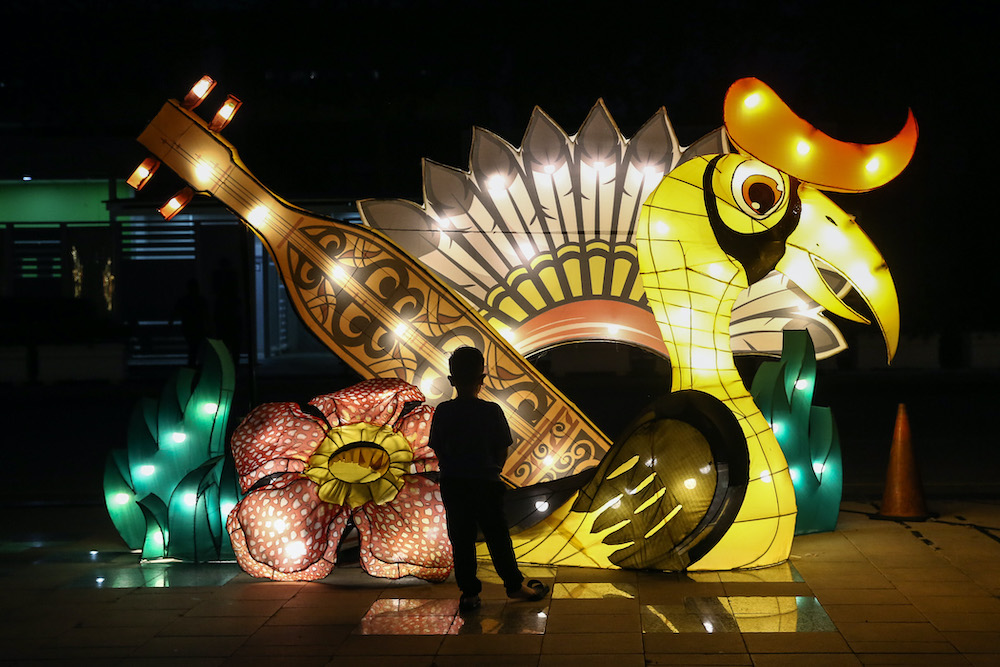 A child admires a light display at Putrajaya December 31, 2019. u00e2u20acu201d Picture by Yusof Mat Isa