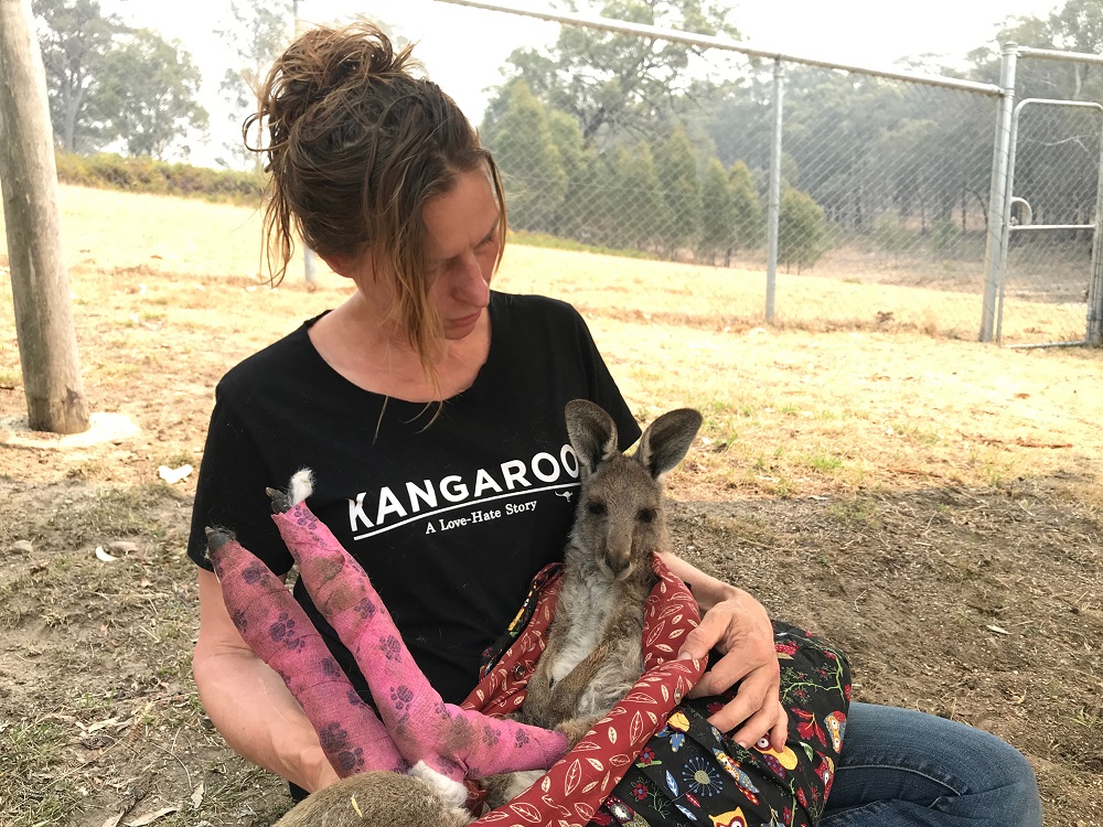 Wildlife Information, Rescue and Education Services (WIRES) Volunteer and carer Tracy Dodd holds a kangaroo with burnt feet pads after being rescued from bushfires in Australia's Blue Mountains area, December 30, 2019. — Reuters pic