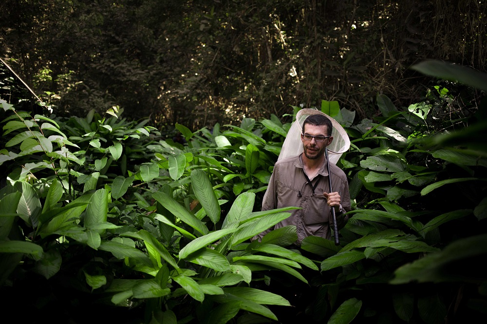Nicolas, one of the expedition's entomologists, looks for the Antimachus caterpillar among the leaves of a clearing, near Mogoumba, Central African Republic December, 5, 2019. u00e2u20acu201d AFP pic 