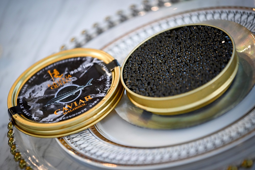 This photo illustration taken on November 12, 2019 shows packed caviar at Kaluga Queen, a caviar company, in Quzhou city, Chinau00e2u20acu2122s Zhejiang province. u00e2u20acu201d AFP pic 
