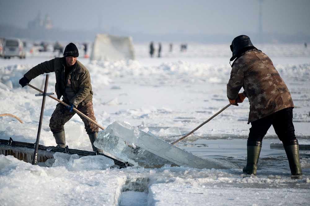 This photo taken on December 12, 2019 shows workers guiding an ice block onto a conveyor belt on the frozen Songhua river in Harbin, China's northeastern Heilongjiang province. — AFP pic