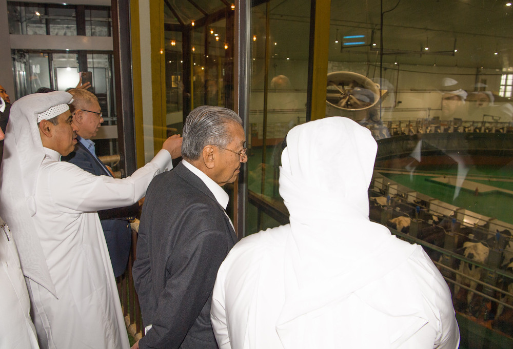 Prime Minister Tun Dr Mahathir Mohamad visits Baladna Food Industries (Baladna) farm in Doha December 13, 2019. u00e2u20acu201d Bernama pic