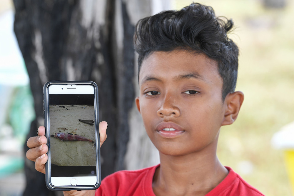 Ahmad Nasrul Hazim Ahmad Rahimi shows the picture he took of the dolphin carcass found at Tanjung Gelam beach, Kuala Nerus December 15, 2019. u00e2u20acu201d Bernama pic