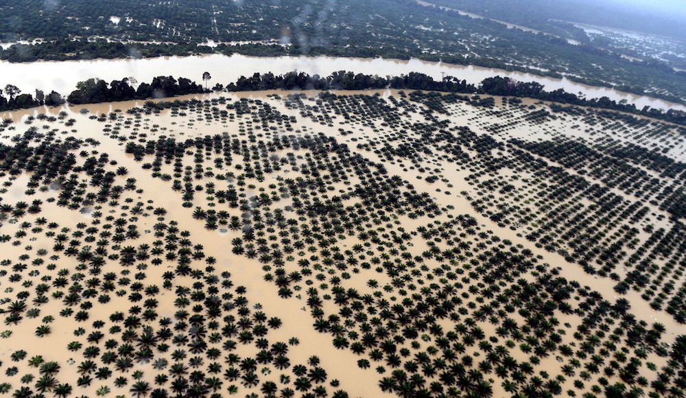 An aerial view of flooded farmland in Mersing December 17, 2019. u00e2u20acu201d Bernama pic