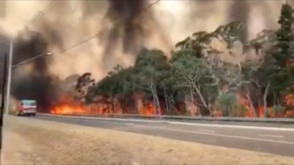 Flames engulf a row of trees at the side of a road on Gospers Mountain in New South Wales, Australia, December 21, 2019, in this still image taken from social media video. u00e2u20acu201d NSW Rural Fire Service picture via Reuters