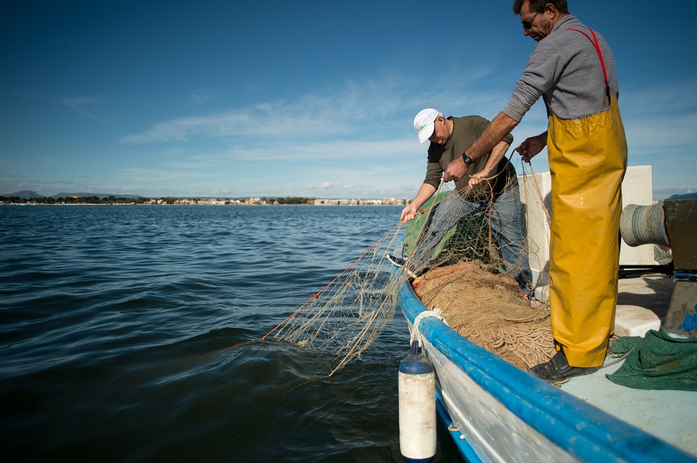 Pedro Martinez (right), a fisherman, fishes from his boat off the coast of San Pedro del Pinatar, in Mar Menor (Minor Sea) November 27, 2019. u00e2u20acu201d AFP pic