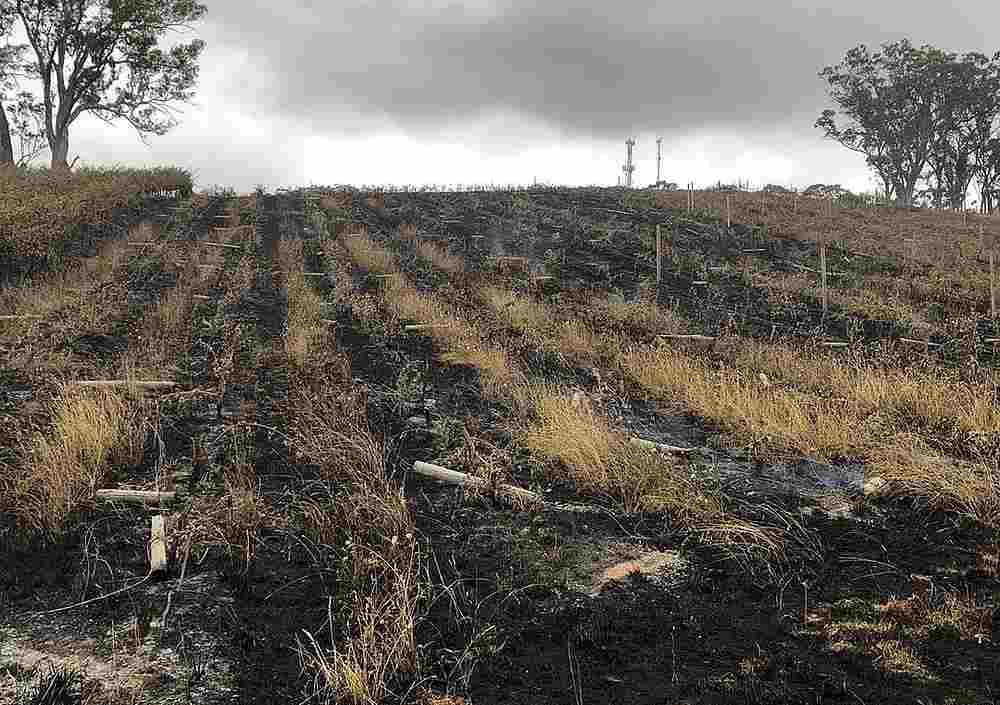 A burnt field is seen at a vineyard in Adelaide Hills, December 21, 2019. u00e2u20acu201d Vinteloper image via Reuters