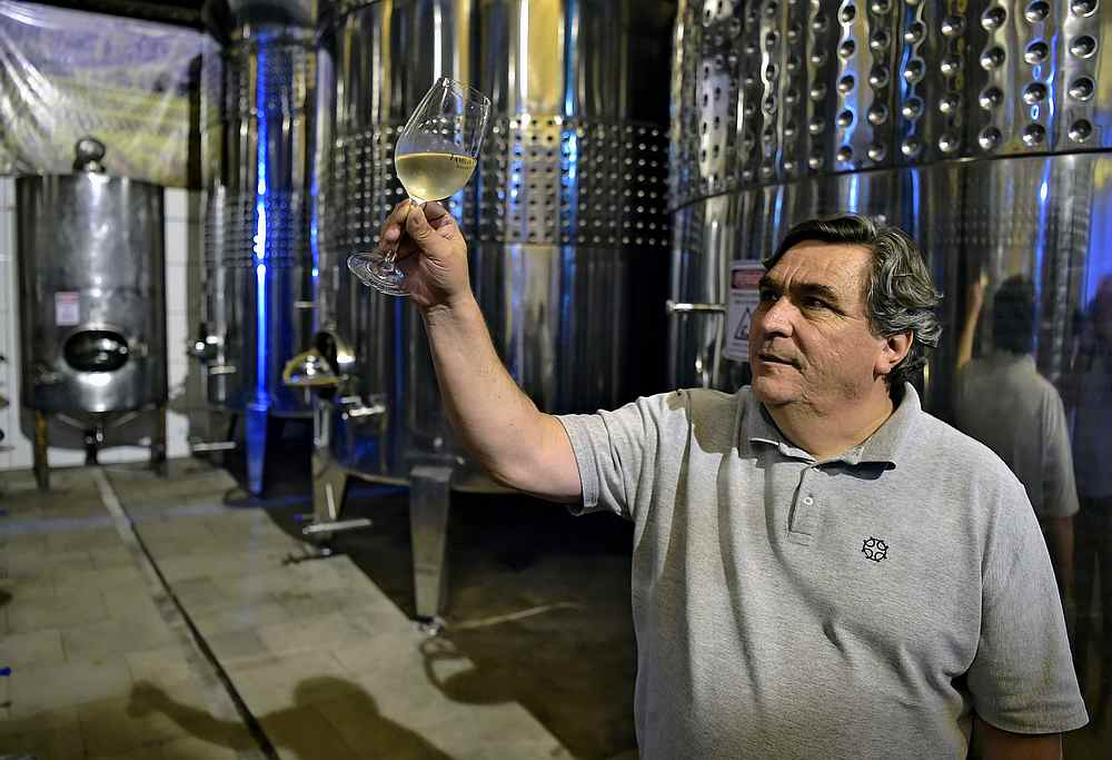 Director Carlos Abarzua examines a glass of white wine at the Familia Geisse vineyard in Pinto Bandeira, Rio Grande do Sul state, Brazil December 3, 2019. u00e2u20acu201d AFP pic