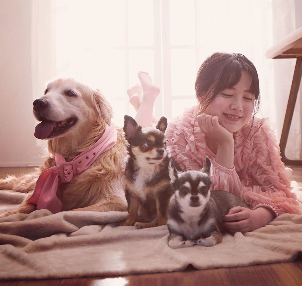 Korean actress Goo Hye-sun announced that she would be donating one tonne of food for strays in the country. u00e2u20acu201d Photo via Instagram/ kookoo900