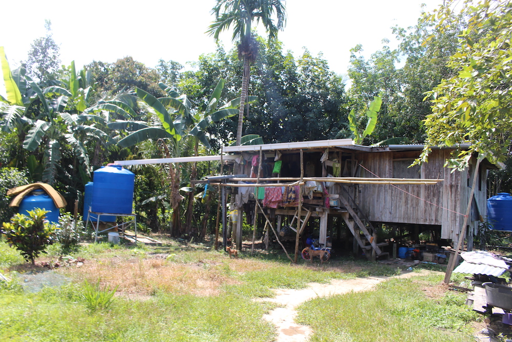 Houses in Kampung Suang Duyung, Pitas are spread out which makes it harder to arrange for basic infrastructure like water and electricity to them. — Picture by Julia Chan