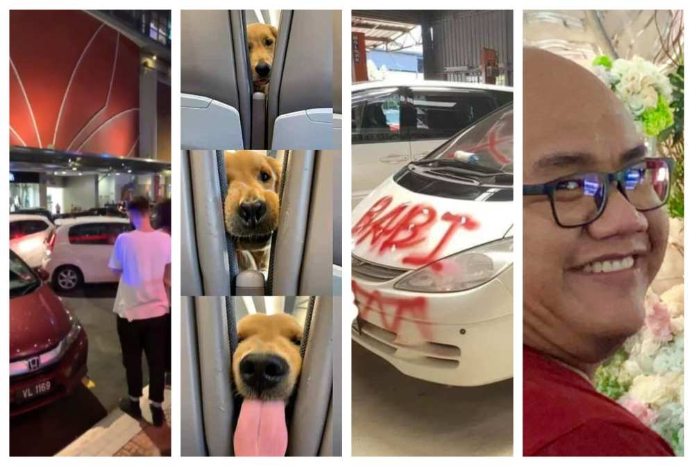 Some of the top viral moments that dominated the internet this year. u00e2u20acu2022 Picture from social media 