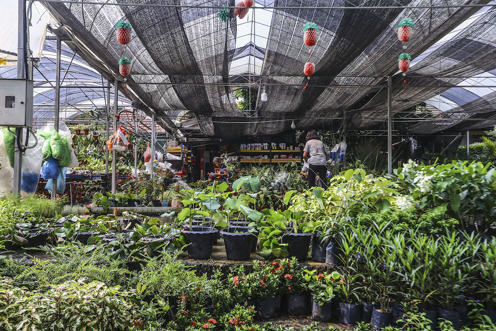 Valley of Hope is popular for gardening supplies among Kuala Lumpur ‘green thumbs’. —Hari Anggara
