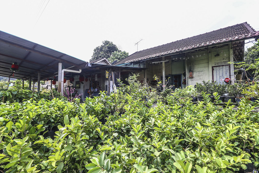 The origins of Sungai Buloh’s Valley of Hope are fading with time, along with the dwindling number of former patients in the settlement. — Picture by Hari Anggara