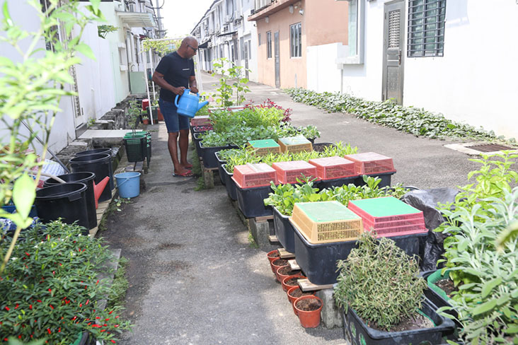 The farm is built in pots which makes it easier to move it around, if you have limited space.