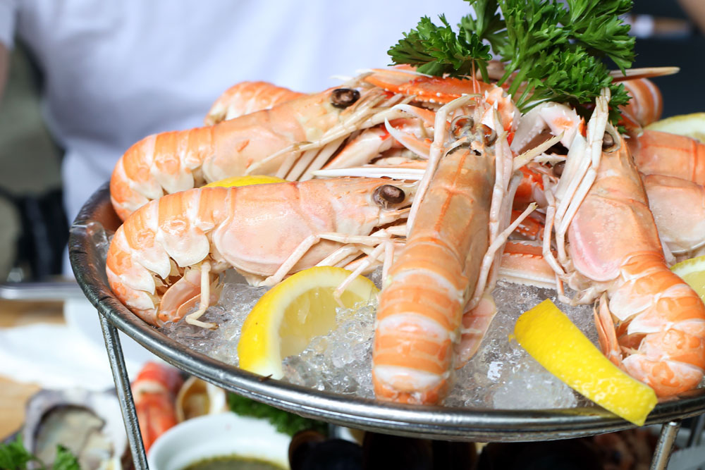 Langoustines on ice.