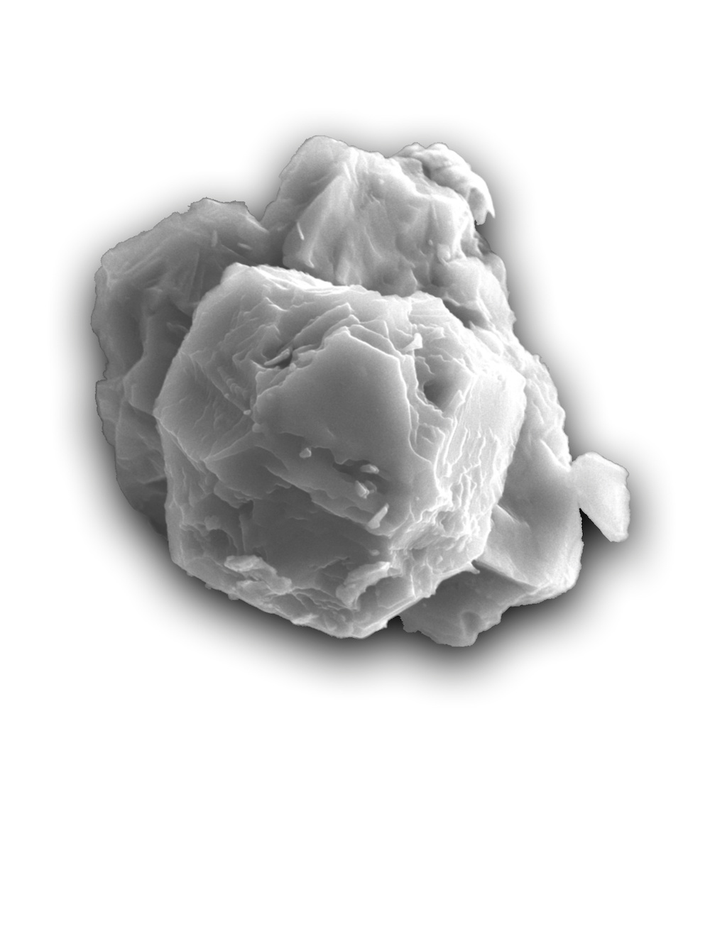 A scanning electron micrograph of a presolar silicon carbide grain, about 8 micrometres in its longest dimension, from a meteorite that crashed into Australia in 1969 is seen in this image released in Chicago January 13, 2020. u00e2u20acu201d Janaina N. Avila handout