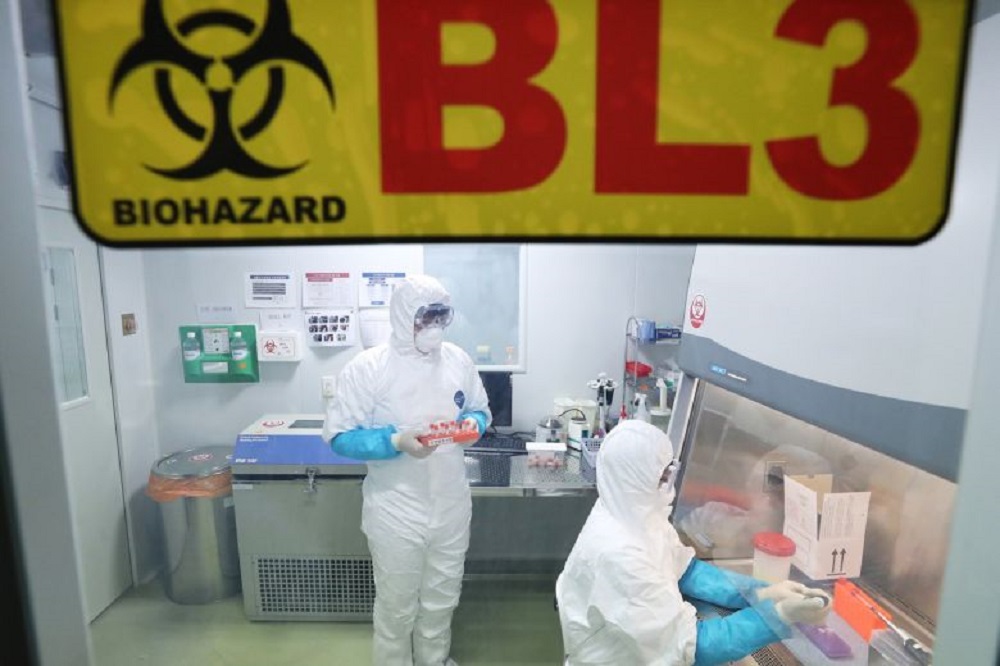 Researchers at a public health institute in Suwon, south of Seoul, examine materials collected from a Chinese woman to find the cause of her mysterious pneumonia symptoms on January 9, 2020. u00e2u20acu201d Reuters pic