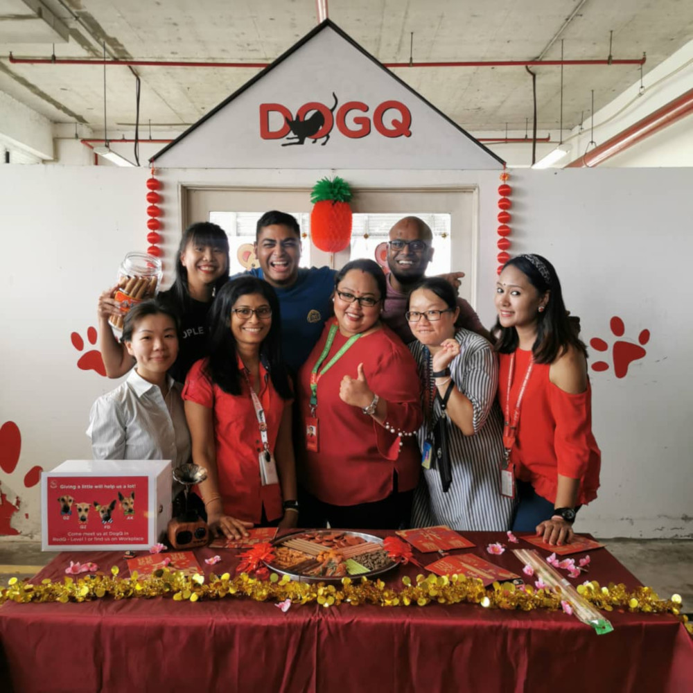 Volunteers of DogQ who look after AK, QZ, D7 and FD. — Picture courtesy of AirAsia