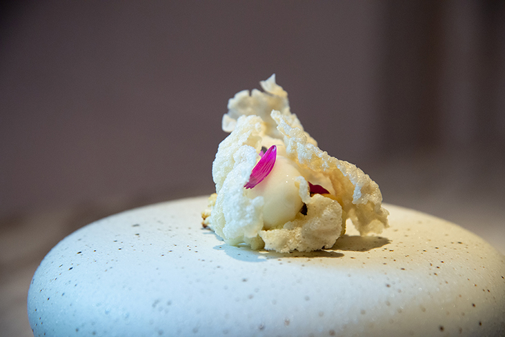 'Landscape of Cauliflower' has different textures of cauliflower — from a sorbet to cauliflower crisps.