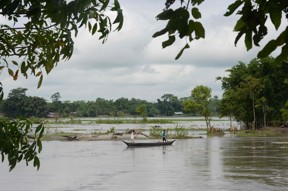 In this picture taken on September 17, 2019, villagers collect wood from the Brahmaputra river at Majuli island in the northeastern Indian state of Assam. u00e2u20acu201d AFP pic