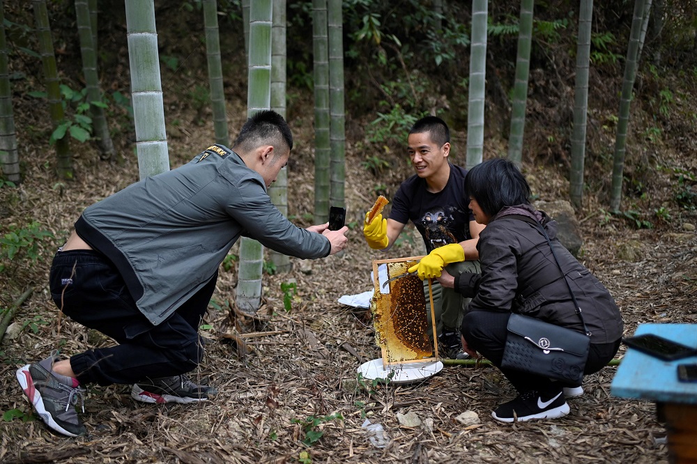 This picture taken on November 13, 2019 shows Chinese farmer Ma Gongzuou00e2u20acu2122s assistant (left) using a mobile phone to take a video as he (centre) and his mother prepare to taste honey at his apiary in Songyang county in Chinau00e2u20acu2122s Zhejiang province. u00e2u20acu201d AFP