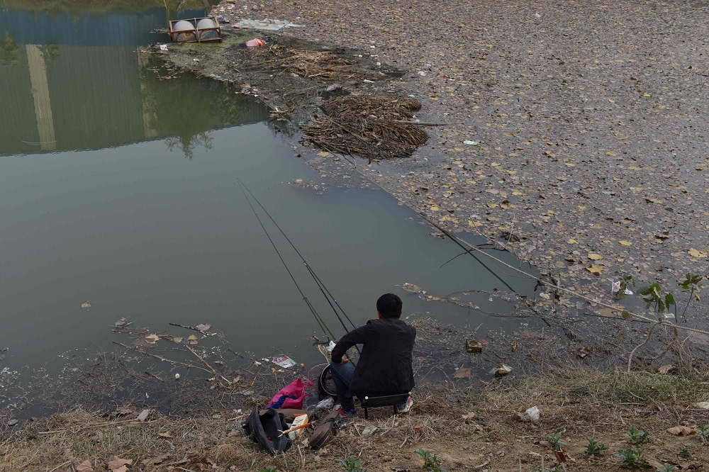 This photo taken on November 8, 2019 shows a man fishing near leaves collecting in a canal in Shenqiu, in China's central Henan province. u00e2u20acu201d AFP pic  