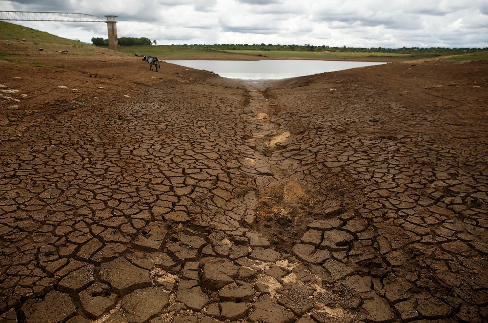 Caked mud is seen before a small patch of water as the region deals with a prolonged drought at a dam near Bulawayo, Zimbabwe January 18, 2020. u00e2u20acu201d Reuters pic