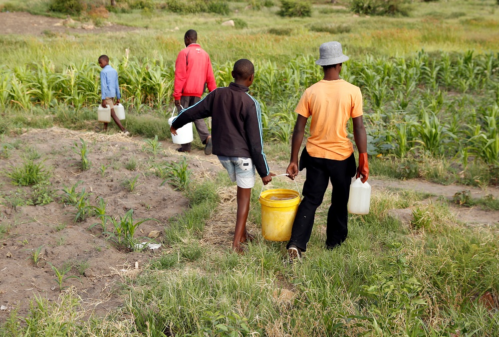 Residents collect borehole water as the region deals with a prolonged drought in Bulawayo, Zimbabwe January 18, 2020. — Reuters pic