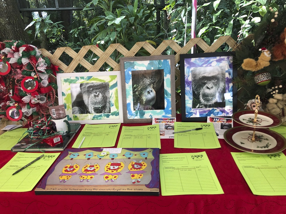 Some of the u00e2u20acu02dcape artu00e2u20acu2122 created by the orangutans and chimpanzees that live in the Centre for Great Apes (CGA), a non-profit sanctuary in Wauchula, Florida, sold in a gift shop and at a silent auction in a fundraising eventu00e2u20acu201d AFP pic