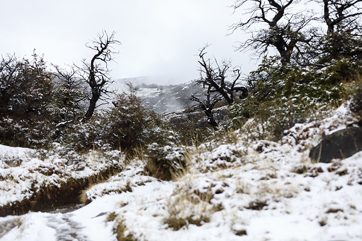 The path is almost hidden by the heavy snowfall.