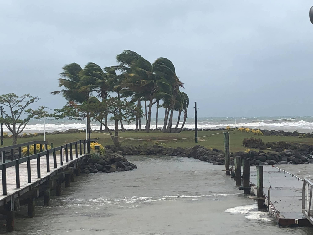 This file picture obtained from social media shows trees buffeted by strong winds near a beach during tropical cyclone Sarai in Viseisei, Fiji December 27, 2019.  u00e2u20acu201d Yogacharya P R Mohanan pic via Reuters 