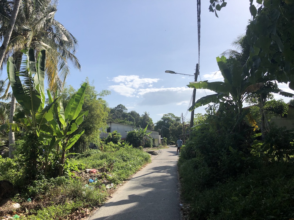 This idyllic fishing village in Kampung Bagan is earmarked to be demolished to make way for the proposed development project. — Picture by Opalyn Mok